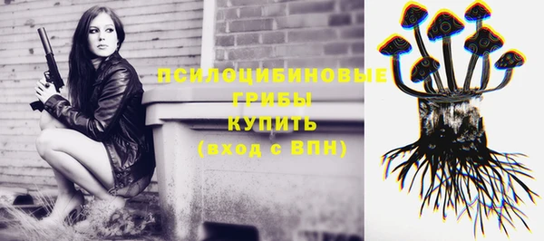 apvp Волосово