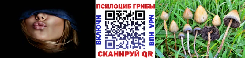 продажа наркотиков  гидра ССЫЛКА  Псилоцибиновые грибы GOLDEN TEACHER  Орехово-Зуево 